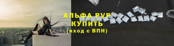 ПСИЛОЦИБИНОВЫЕ ГРИБЫ Балабаново