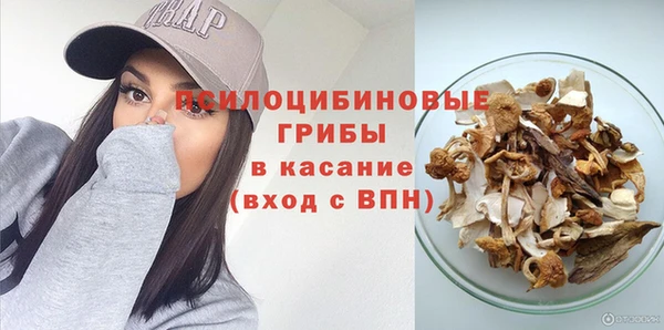 ПСИЛОЦИБИНОВЫЕ ГРИБЫ Балабаново