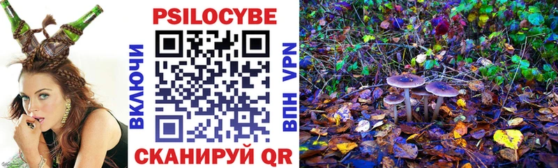 Псилоцибиновые грибы MAGIC MUSHROOMS  Богучар 